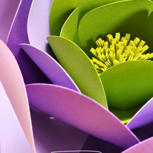 NEW ! Niveau 1 / Numéro 3