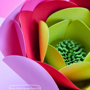 NEW ! Niveau 1 / Numéro 4