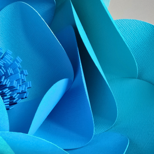 Fleur en papier en KIT / Niveau 1, comprenant des éléments pré-découpés, pour créer une fleur en 3D. Kit facile à assembler avec un mode d’emploi illustré pour débutants ou personne expérimentée.