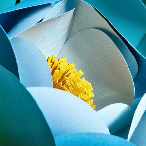 Niveau 1 / Numéro 1