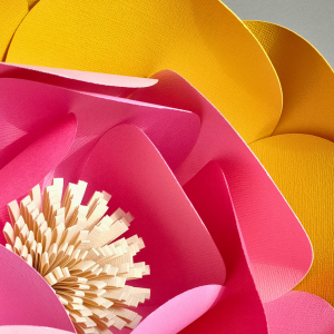 Fleur en papier en KIT / Niveau 1, comprenant des éléments pré-découpés, pour créer une fleur en 3D. Kit facile à assembler avec un mode d’emploi illustré pour débutants ou personne expérimentée.