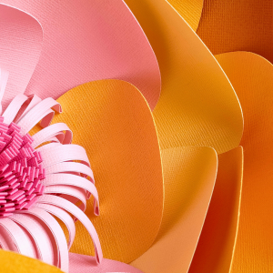 Niveau 2 / Numéro 3