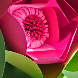 NEW ! Niveau 2 / Numéro 7