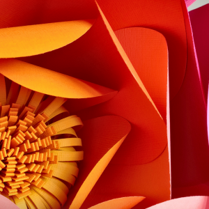 Niveau 2 / Numéro 6