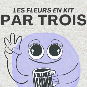 ✦ LOT DE 3 KITS ✦