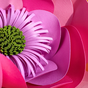 Niveau 2 / Numéro 2