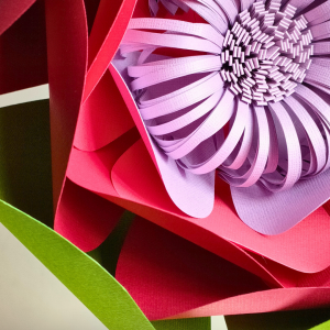 Niveau 2 / Numéro 5