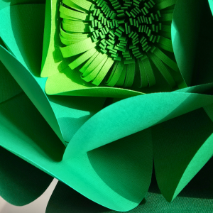 Niveau 2 / Numéro 1