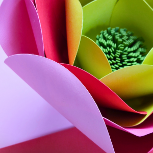 NEW ! Niveau 1 / Numéro 4