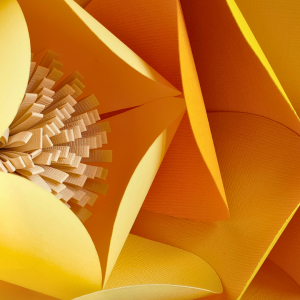 Niveau 1 / Numéro 6