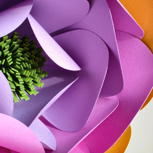 Niveau 1 / Numéro 7